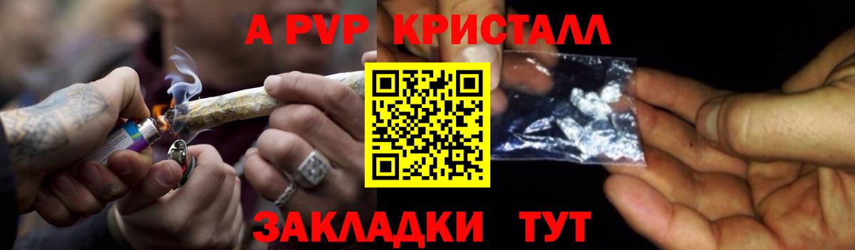 A PVP СК КРИС Сальск