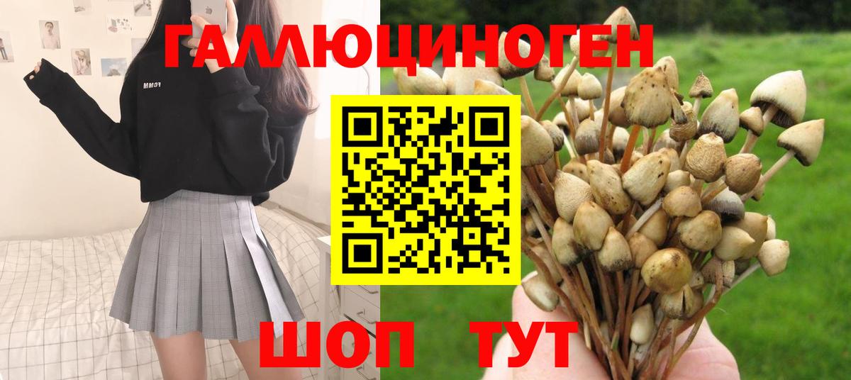 Псилоцибиновые грибы ЛСД Сальск